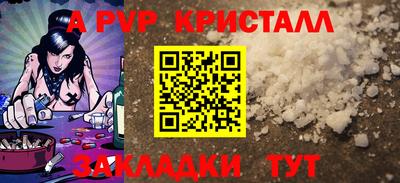 стафф Камышлов