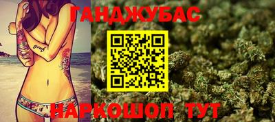 стафф Камышлов