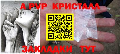 стафф Камышлов